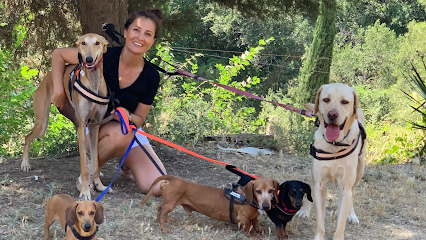 Residència Canina Can Llosses Barcelona