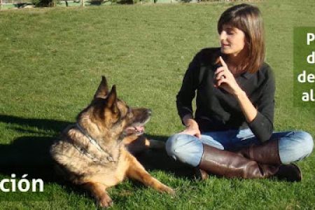Centro Canino Gufy - Residencia Canina